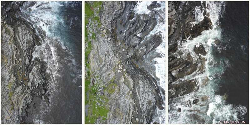 High-Resolution Drone Imaging Maps Seaweed in Tidal Zones