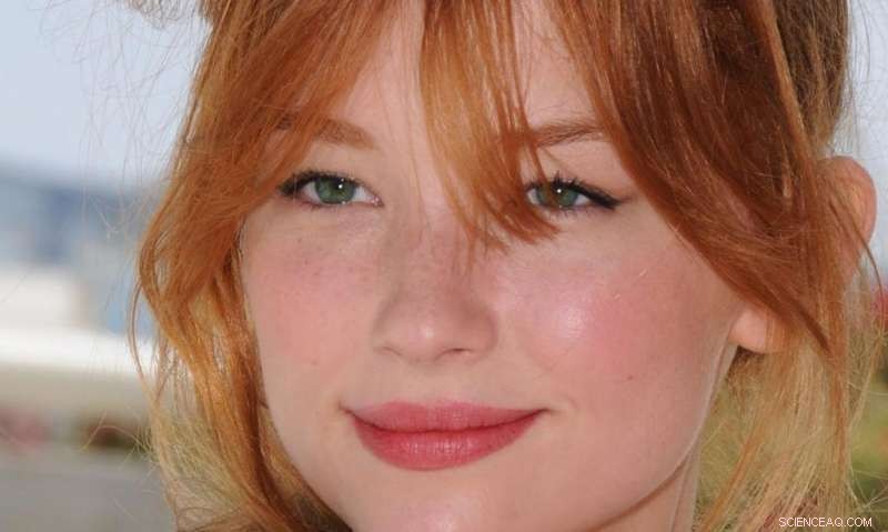 Robust Detection of Human- and AI-Created Fake Face Images