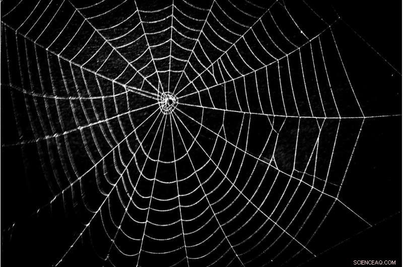 Demystifying the Dark Web: What You Need to Know