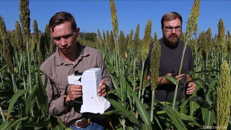 Advanced Plant Health Sensor Enhances Accuracy & Crop Insights for Farmers