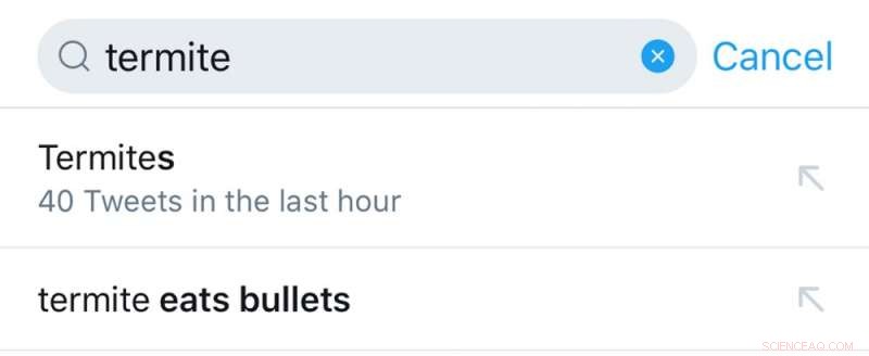 Hate Speech Remains Easily Accessible on Social Media