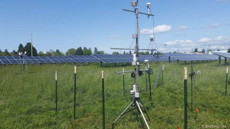 Solar Panels Boost Dry Farmland Yield, Oregon State Study Reveals