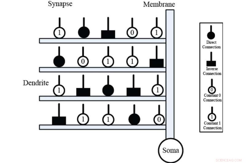 Enhancing Neural Network Efficiency: State‑of‑Matter Search Algorithm Drives Effective Neuron Pruning