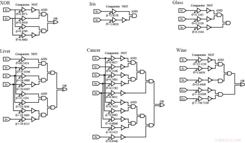 Enhancing Neural Network Efficiency: State‑of‑Matter Search Algorithm Drives Effective Neuron Pruning
