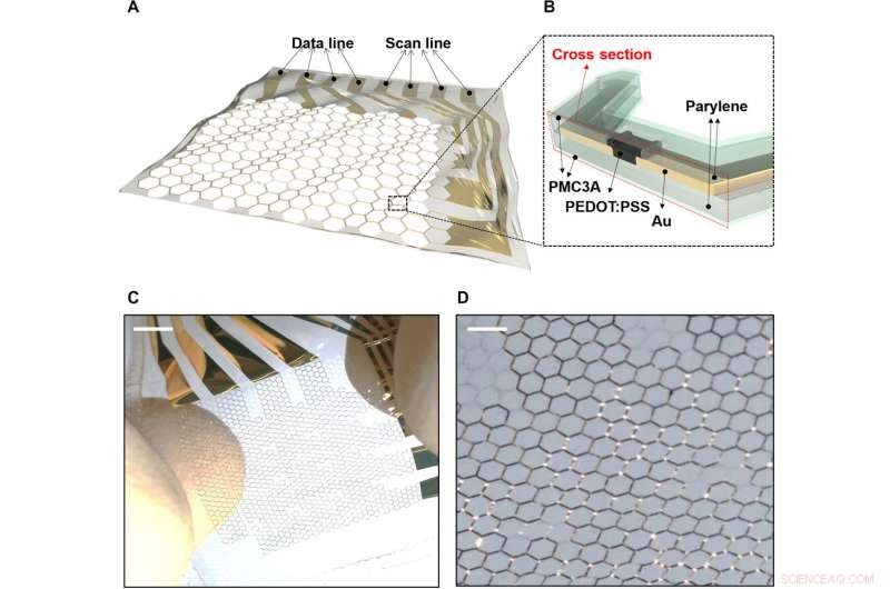 Advanced Electroanatomical Mapping Using Non‑Thrombogenic, Stretchable Multielectrode Arrays