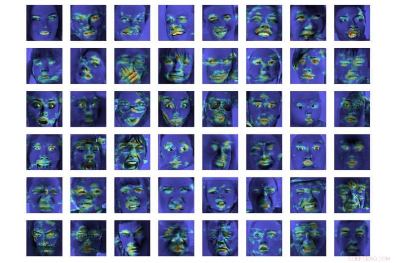 Deep Alignment Network (DAN): Advanced Emotion Classification & Visualization