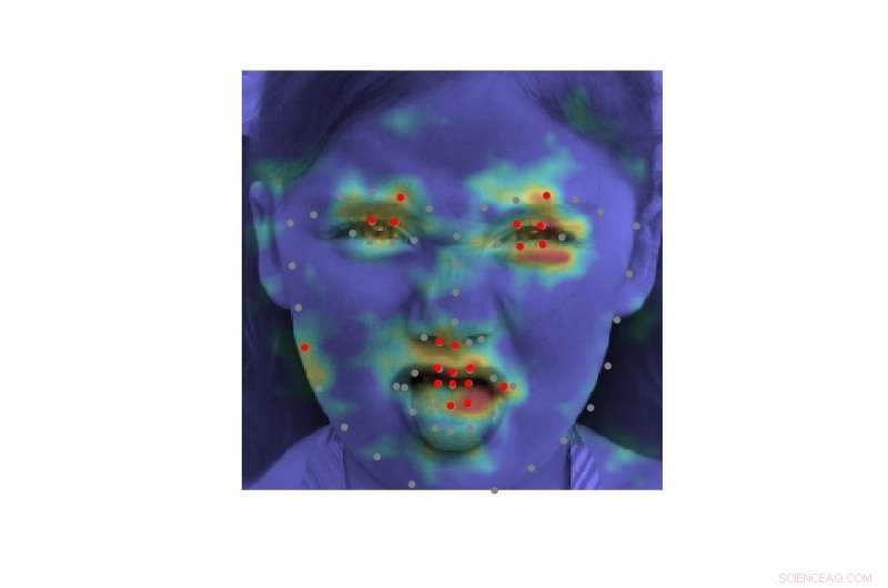 Deep Alignment Network (DAN): Advanced Emotion Classification & Visualization