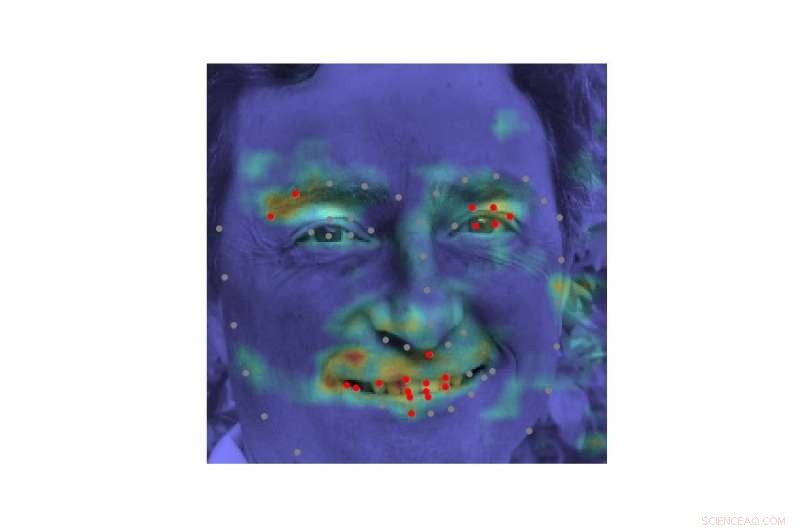 Deep Alignment Network (DAN): Advanced Emotion Classification & Visualization