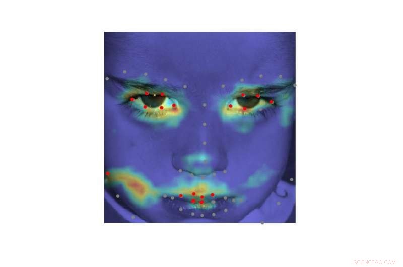 Deep Alignment Network (DAN): Advanced Emotion Classification & Visualization