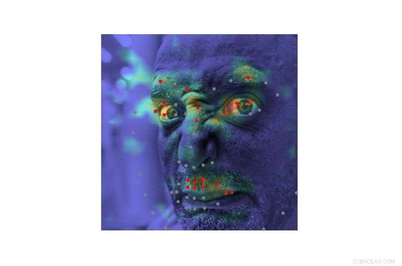 Deep Alignment Network (DAN): Advanced Emotion Classification & Visualization