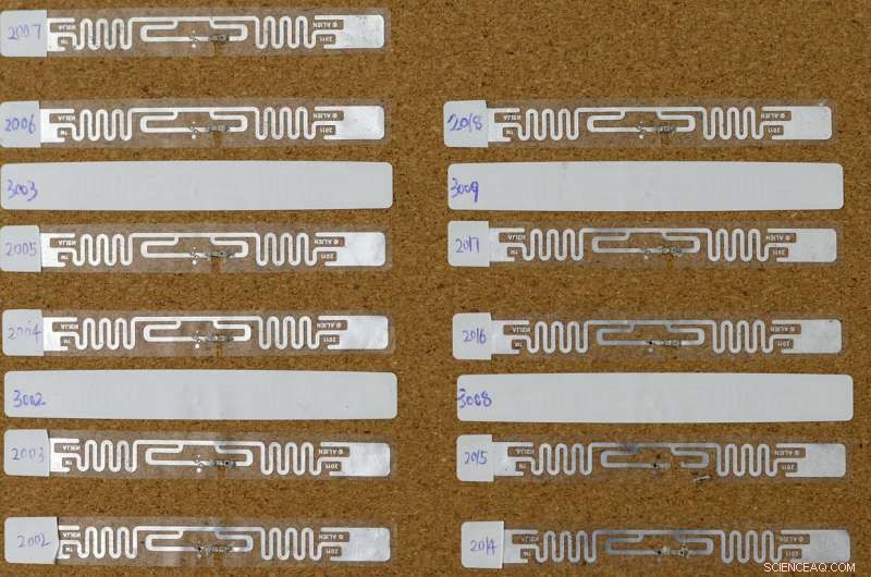 Battery‑Free Smart Devices Move Closer to Reality