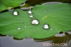 Advanced Laser Coating Keeps Aircraft Surfaces Clean and Dry