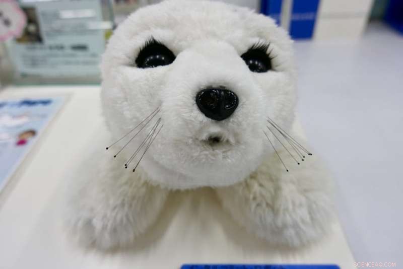 Evaluating Robots as Caregivers: Pros, Cons, and Key Considerations