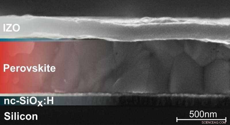Perovskite–Silicon Tandem Solar Cells Reach 25.5% Efficiency with Advanced Light‑Management Design