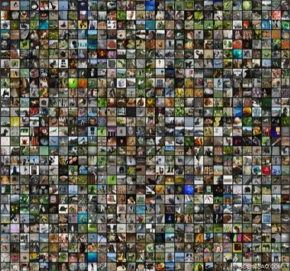 Leveraging AI to Drive Sustainable Outcomes