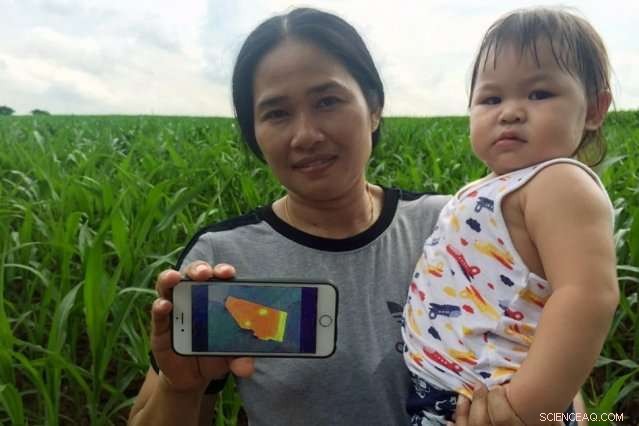 Ricult Harnesses Digital Tools to Boost Rural Farmers  Prosperity in Developing Nations
