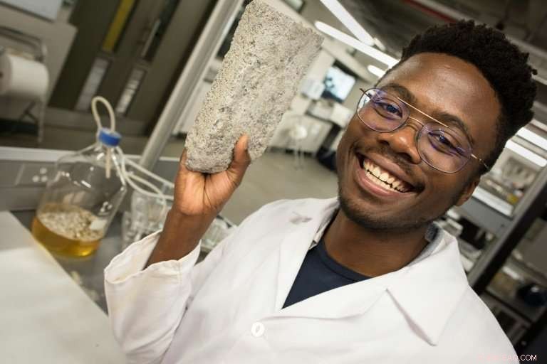 South Africa Pioneers World s First Human Urine Brick for Sustainable Building