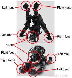 HRP-5P: A Humanoid Robot Prototype Designed for Heavy‑Duty Tasks