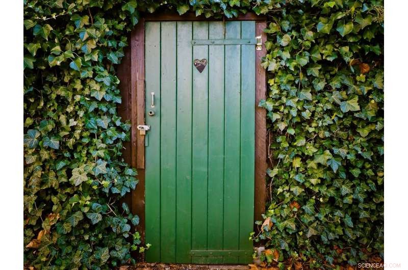 World Toilet Day: Urgent Call to End Global Sanitation Crisis