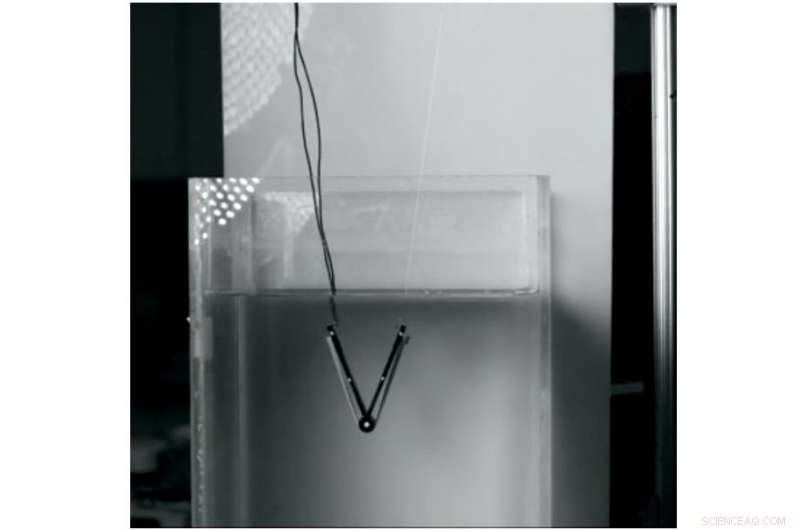 From Nature to Robotics: How Aquatic Leaps Inspire Advanced Jumping Robots