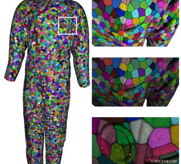 Discover the Elegant Simplicity of Natural Tessellations