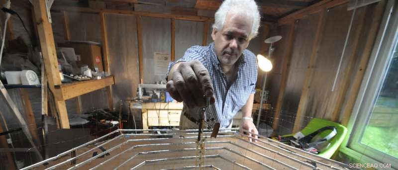 Revolutionizing Aviation: The Rise of Ion‑Powered, Zero‑Emission Flight