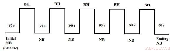Accurate Arterial Blood Pressure Estimation via Photoplethysmography-Based Mathematical Modeling