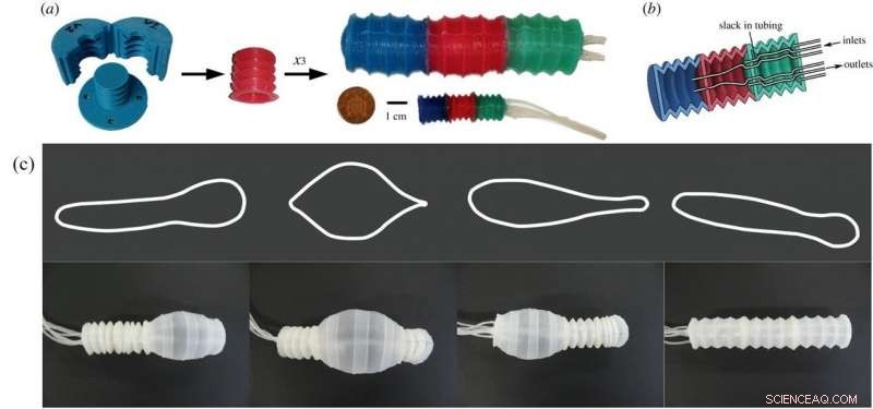 EuMoBot: Soft Robotics Inspired by Euglenoid Motion