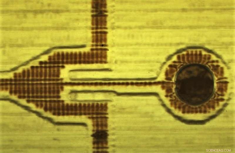 Revolutionizing Blood Testing with Micro‑Manufacturing Technology