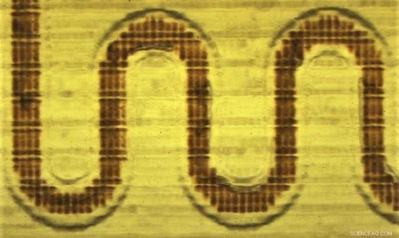 Revolutionizing Blood Testing with Micro‑Manufacturing Technology