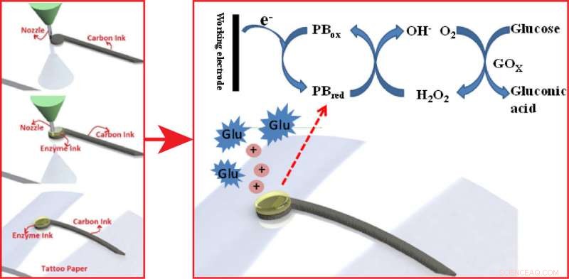 WSU Team Develops Advanced 3‑D Printed Glucose Biosensors for Wearable Health Monitoring