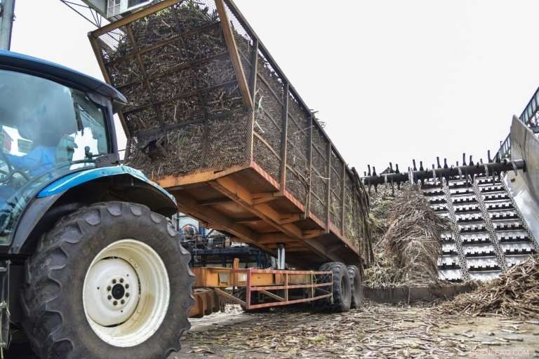 Mauritius: Sugar Cane as a Profitable and Renewable Energy Asset