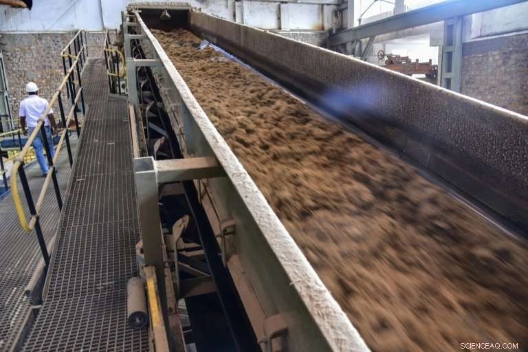 Mauritius: Sugar Cane as a Profitable and Renewable Energy Asset