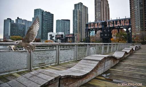 Amazon s Arrival Promises Big Gains for New York, Yet Calculations Reveal a Complex Reality