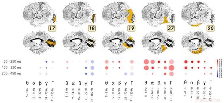 Artificial Intelligence and the Rising Risk of Human Loss