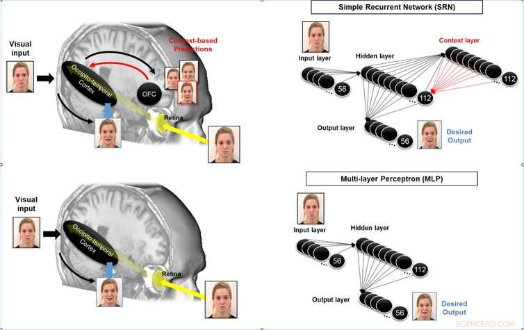Artificial Intelligence and the Rising Risk of Human Loss
