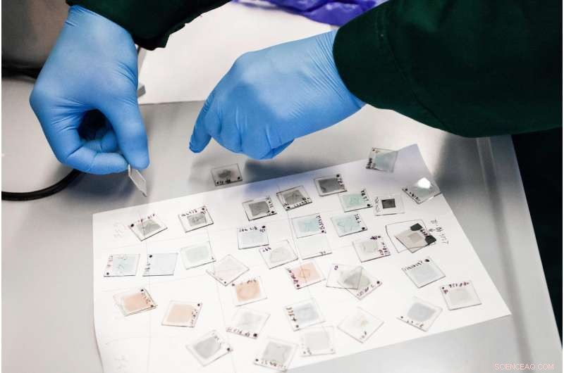 Revolutionary Cost‑Effective, High‑Efficiency Perovskite Solar Cells