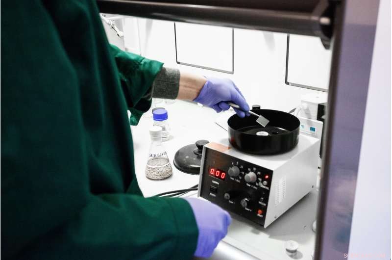 Revolutionary Cost‑Effective, High‑Efficiency Perovskite Solar Cells