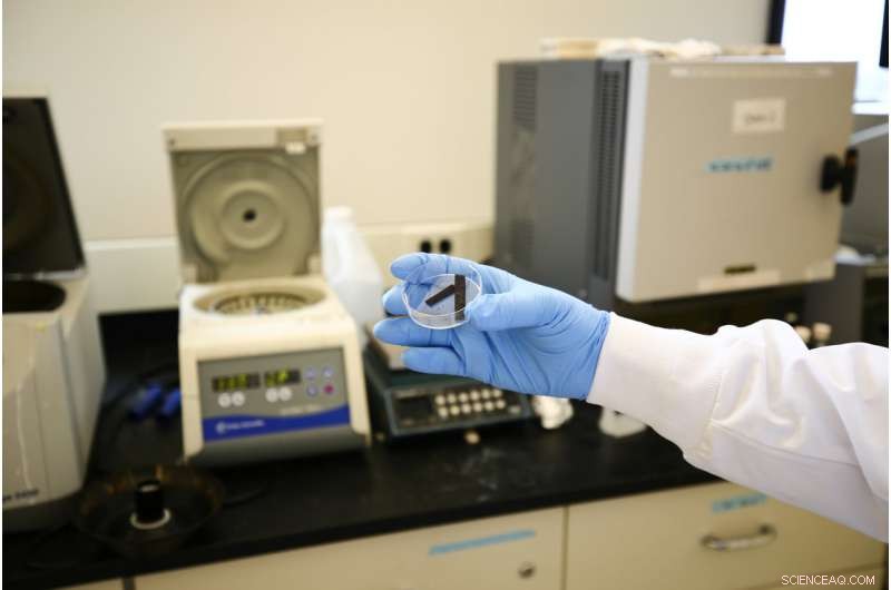 Low‑Cost Catalyst Dramatically Enhances Hydrogen Production from Water