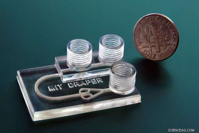 Rapid Drug Testing on Tumor Tissue: A 3‑D Printed Microfluidic Device Guides Cancer Therapy