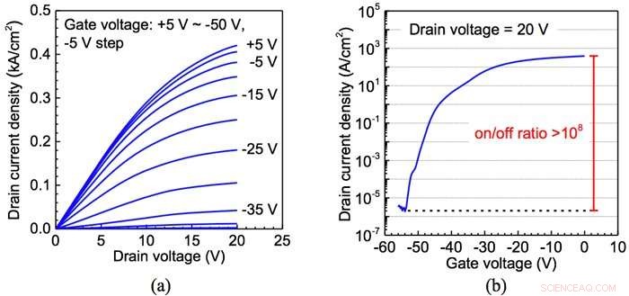 Pioneering Vertical Ga₂O₃ Transistor Fabricated via Ion Implantation Doping