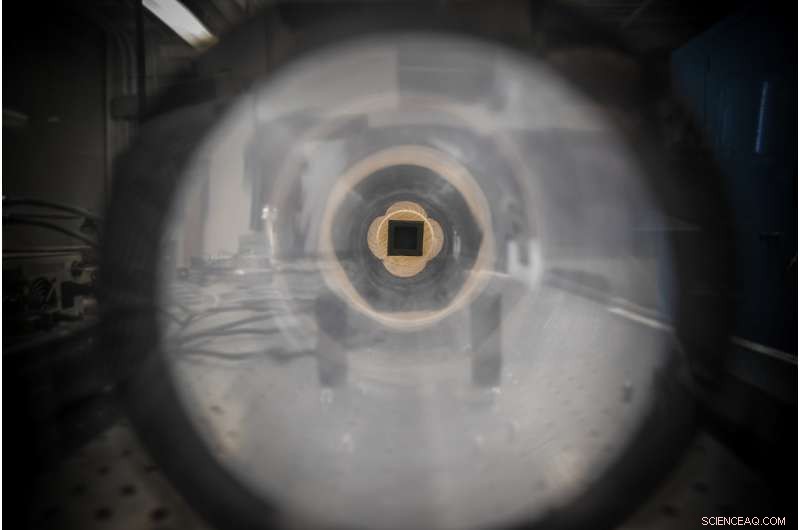 New Study Illuminates Mosquitoes  Role in Disease Transmission