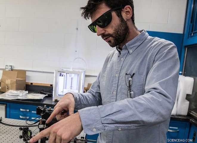 New Study Illuminates Mosquitoes  Role in Disease Transmission