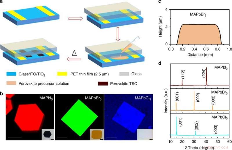 Innovative Technique Enables Integration of Single-Crystal Hybrid Perovskites into Electronic Devices