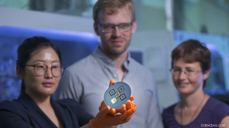 ANU Research Advances Affordable, High‑Efficiency Solar Technology