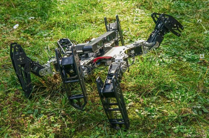 Real‑Time Adaptive Robots: Programming Machines to Respond Instantly