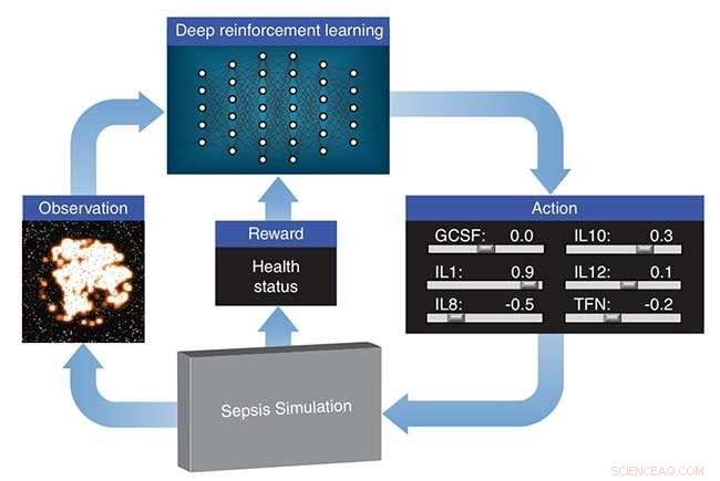 Gaming AI Guides Researchers Toward Personalized Sepsis Treatments