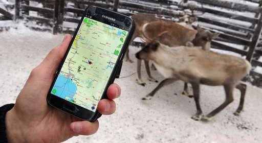 Reindeer Tracking: How Technology Connected Herds on a Foggy Christmas Eve