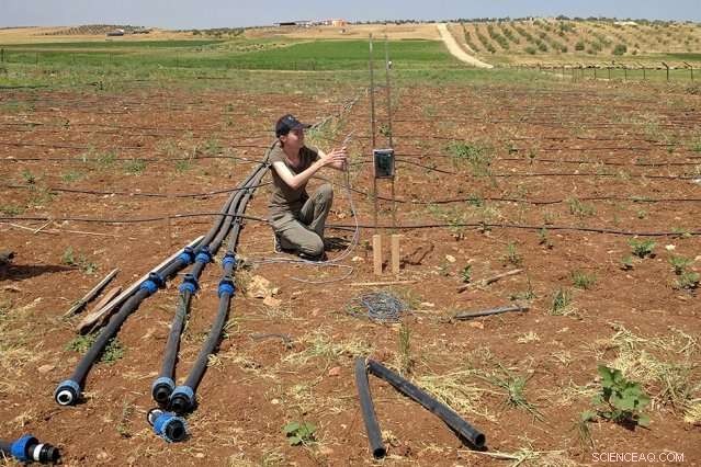 Boosting Crop Yields Sustainably: Efficient Resource Management