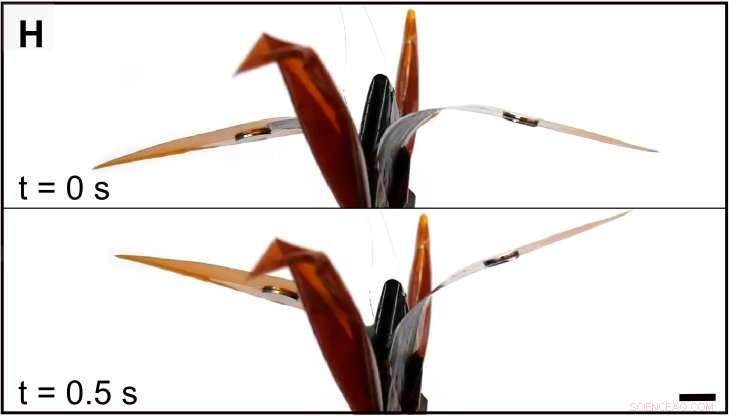 Adding Silicone Oil Significantly Enhances Contracting Force of Self-Zipping Origami Robots
